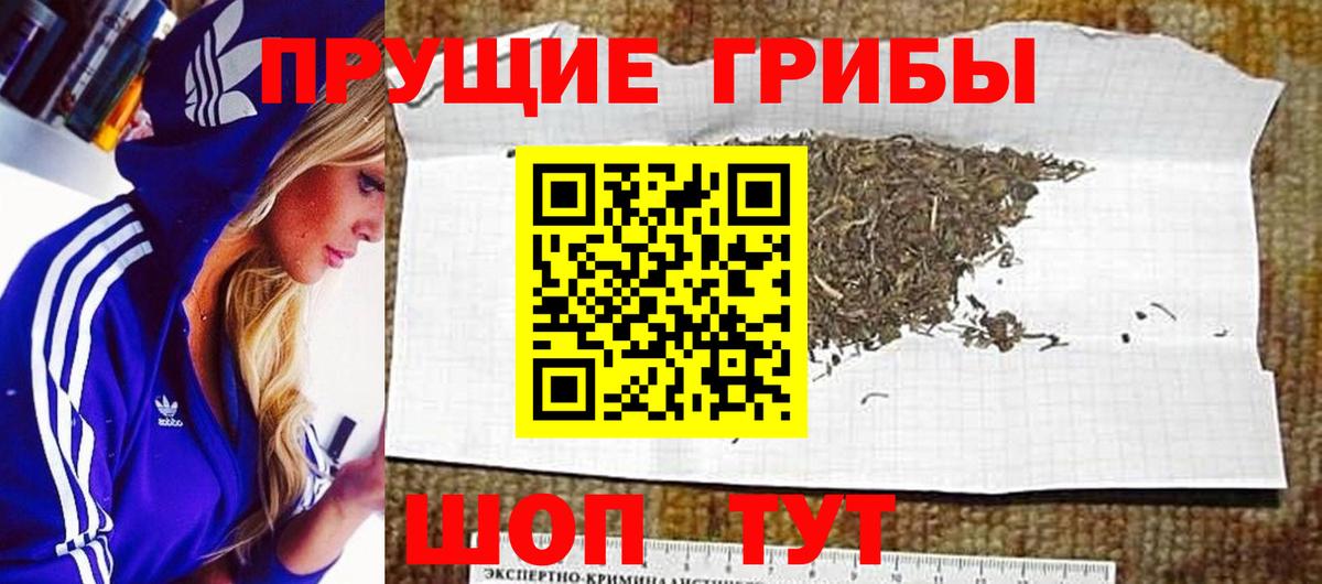 Псилоцибиновые грибы прущие грибы Тихорецк